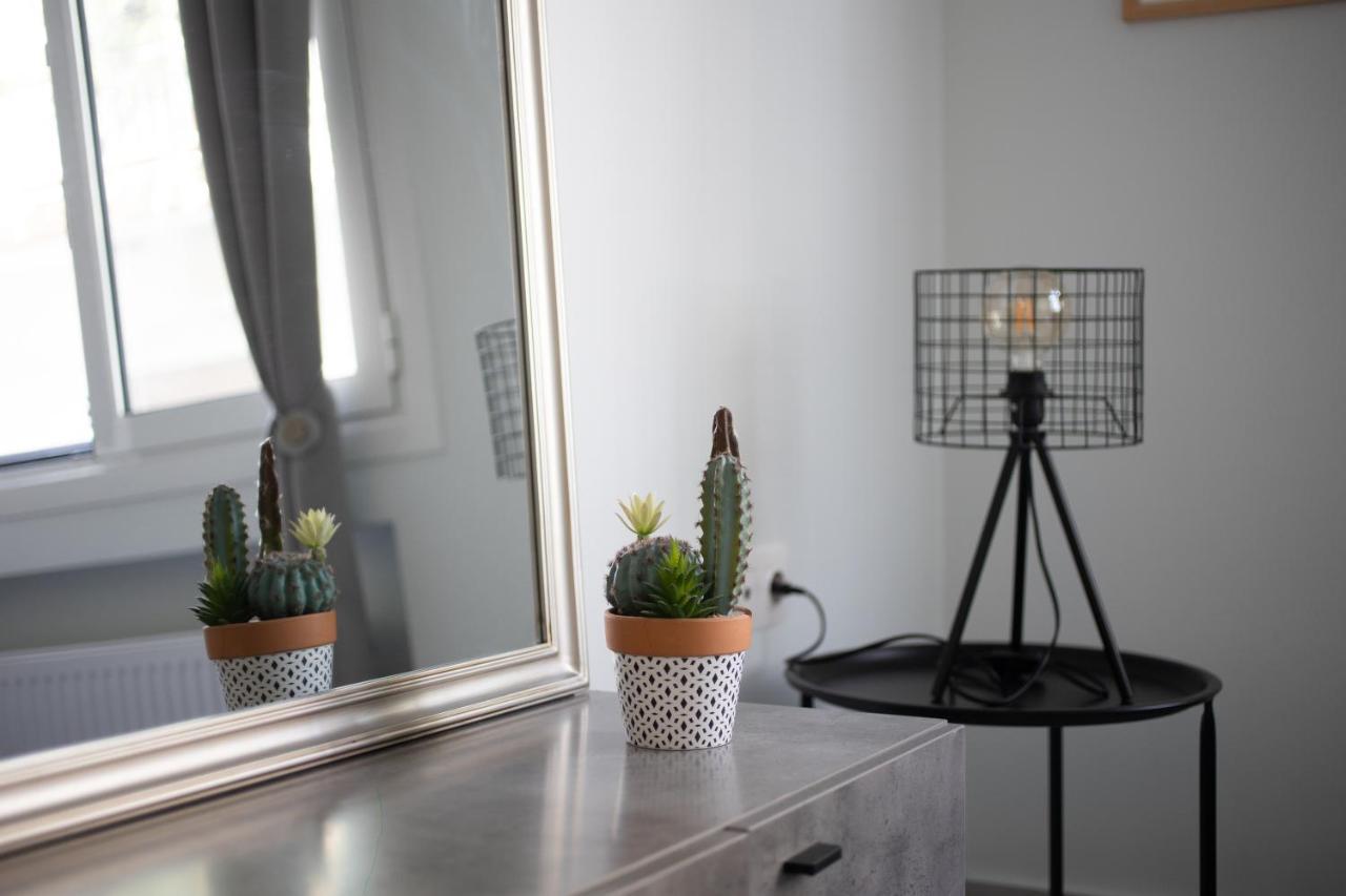 Newly Renovated Cozy Downtown Apartment